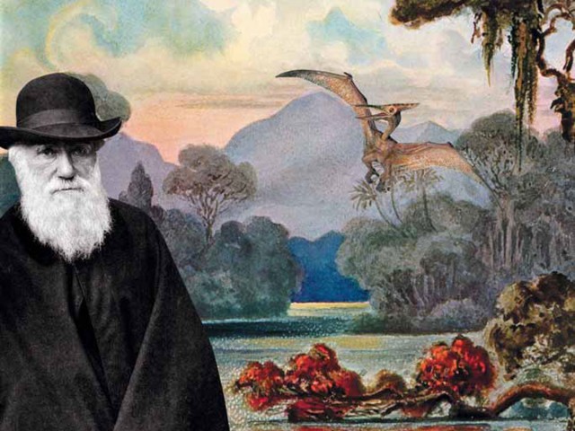 Image: Верна ли теория Дарвина об эволюции и происхождении видов?