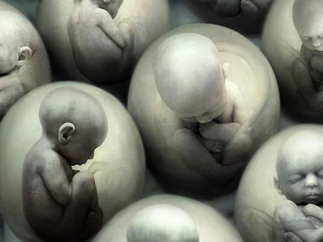 Image: Клонированию человека быть?