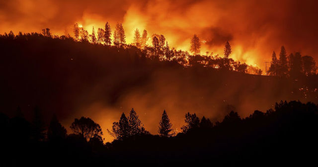 Image: Лесные пожары в Сибири - влияние человека или нормальное природное явление?